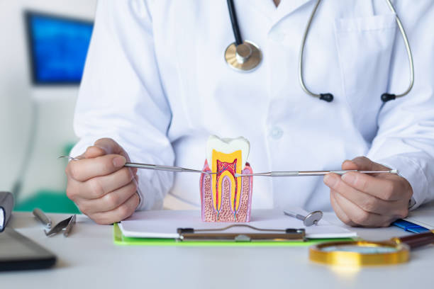 Best Weekend Emergency Dentist in Harper, TX